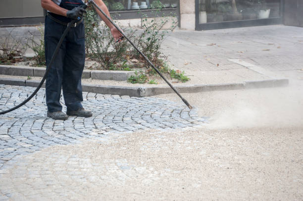 Animal Enclosure Cleaning in Meiners Oaks, CA